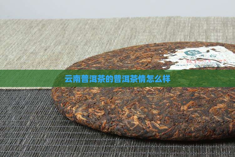 一杯云南普洱茶的茶情怎么样