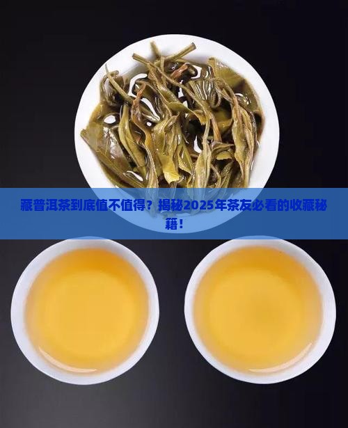 藏普洱茶有什么好处