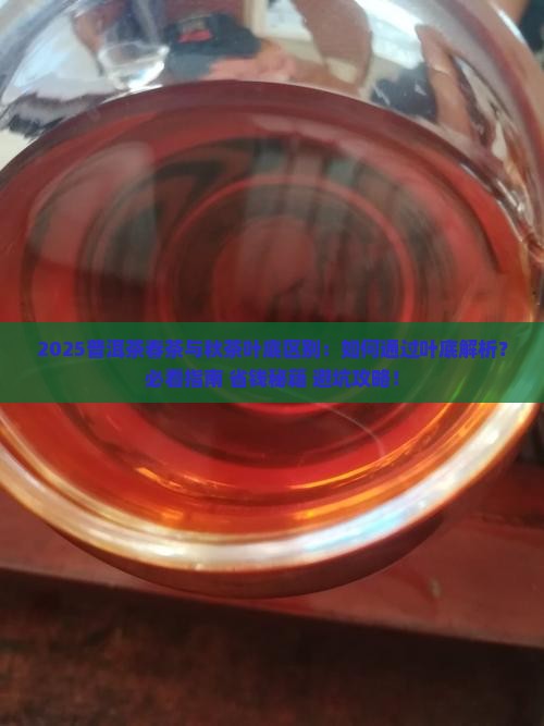 普洱茶春茶和秋茶叶底区别
