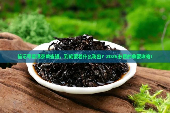 信记号普洱茶黄瓷罐