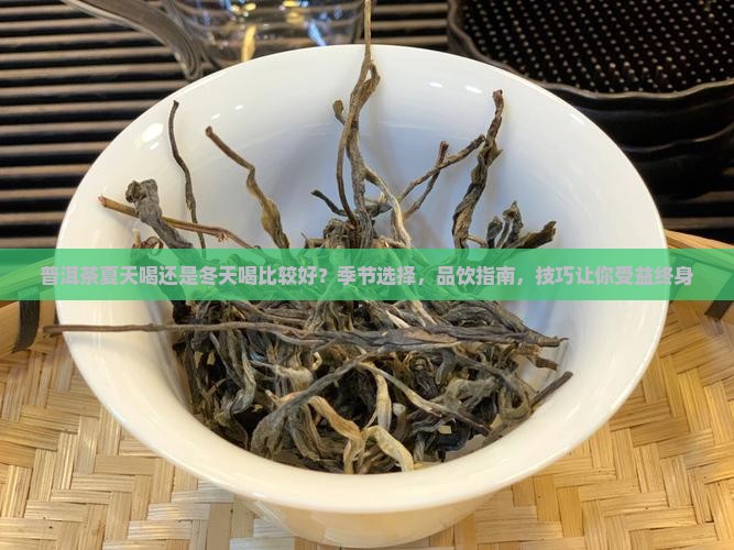 普洱茶夏天喝还是冬天喝比较好