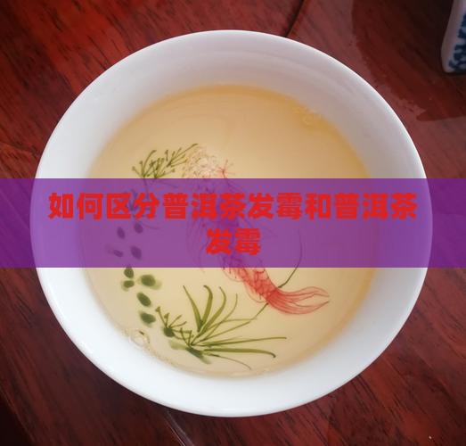 普洱茶怎么区分霉变茶和霉变茶