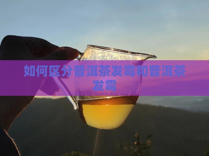 普洱茶怎么区分霉变茶和霉变茶