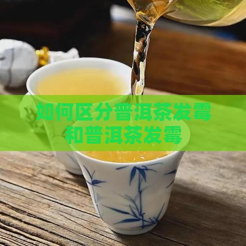 普洱茶怎么区分霉变茶和霉变茶