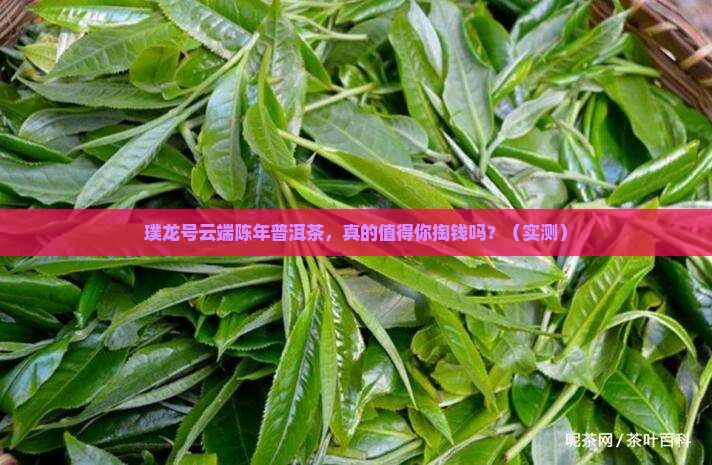 璞龙号云端陈年普洱茶