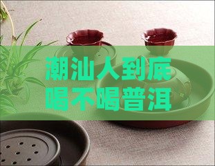 潮汕人喜欢喝普洱茶吗