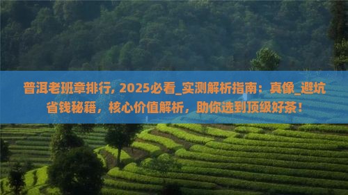 普洱老班章排行