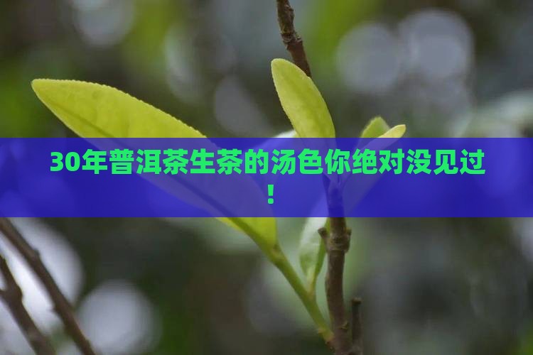 30年普洱茶生茶的汤色