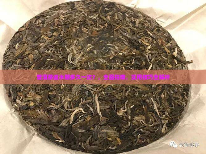 普洱茶返水期多久一次