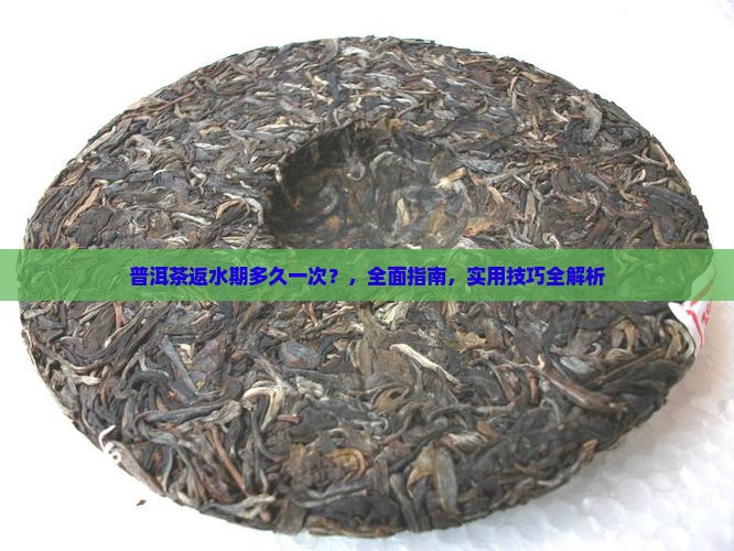 普洱茶返水期多久一次