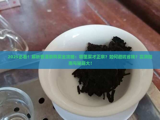 好的普洱茶哪里购买