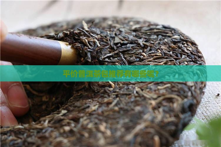 平价普洱茶包推荐品牌有哪些