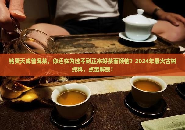 铭贵天成普洱茶