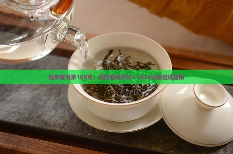 逸神普洱茶100克