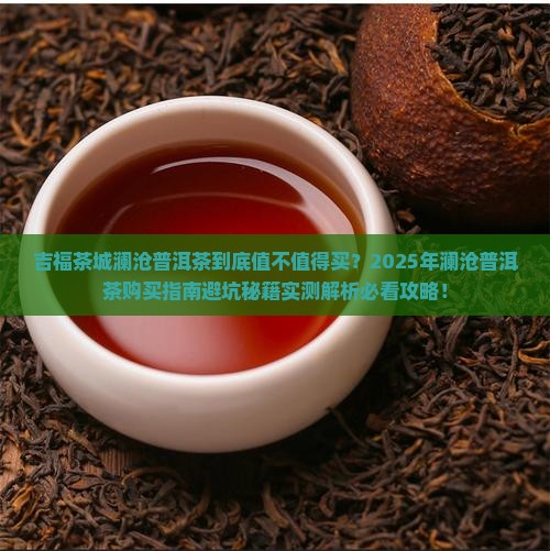 吉福茶城澜沧普洱茶