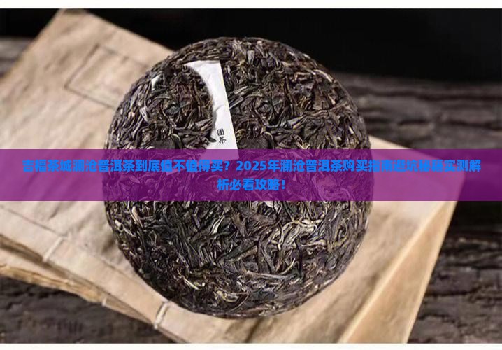 吉福茶城澜沧普洱茶