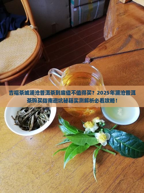 吉福茶城澜沧普洱茶
