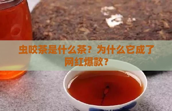 虫咬茶是什么茶