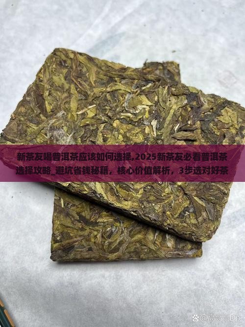 新茶友喝普洱茶应该如何选择