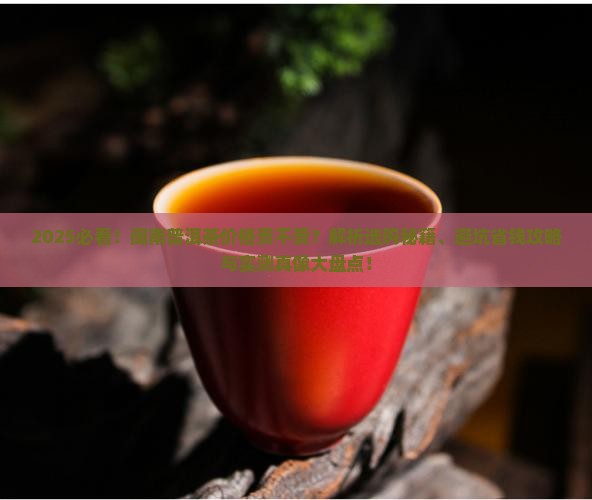 眼闽南普洱茶贵吗