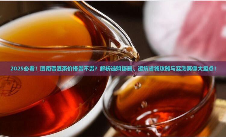 眼闽南普洱茶贵吗