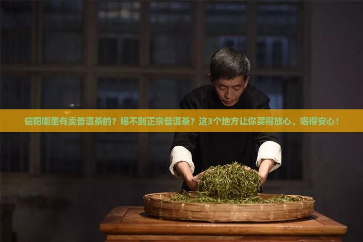 信阳哪里有卖普洱茶的
