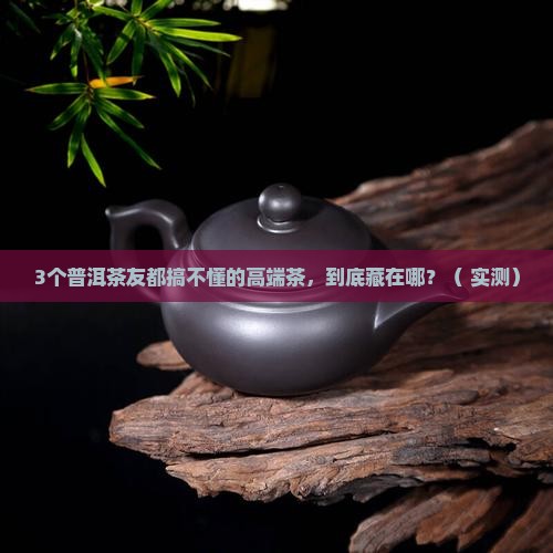 普洱里面最高端是什么茶