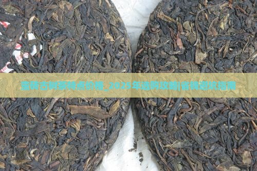 蛮砖古树茶特点价格
