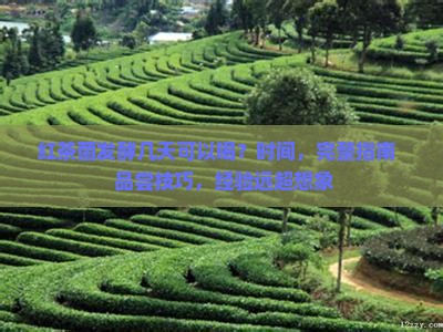 红茶菌发酵几天可以喝