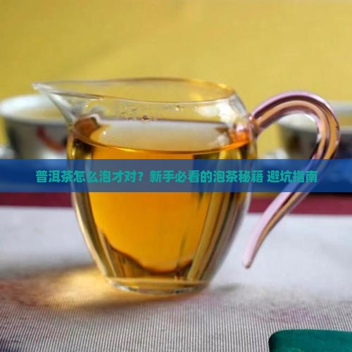 普洱茶的普通泡法