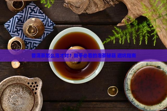 普洱茶的普通泡法