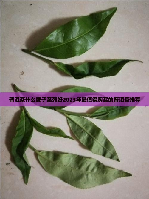 普洱茶什么牌子系列好