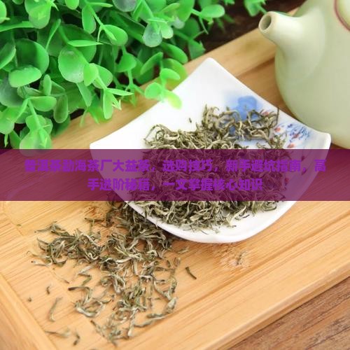 普洱茶勐海茶厂大益茶
