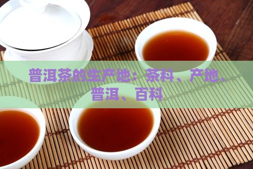 普洱茶的生产地