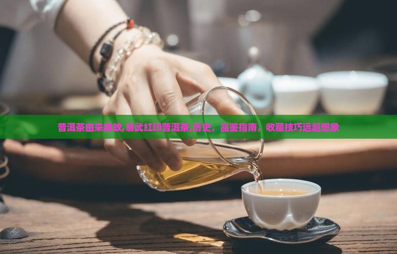 普洱茶由来典故易武红印普洱茶
