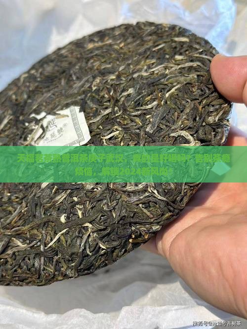 天福茗茶熟普洱茶庚子武汉