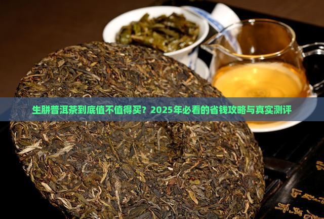 生胼普洱茶价格