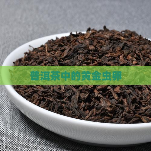 黄金普洱茶虫卵