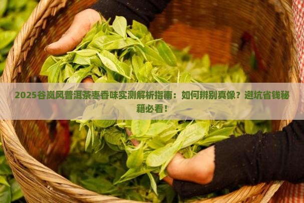 谷岚风普洱茶枣香味