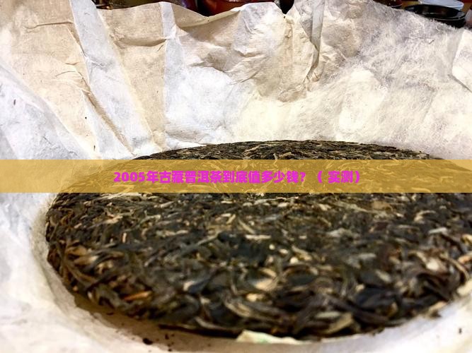 2005年古藏普洱茶价格