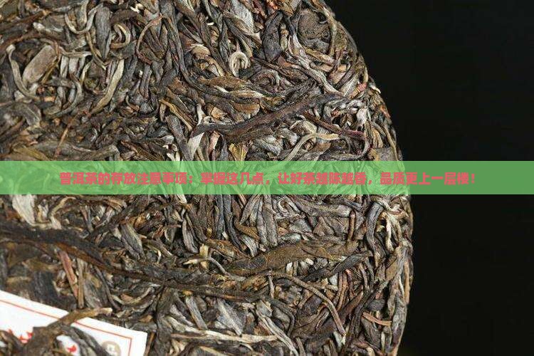 普洱茶的存放注意事项