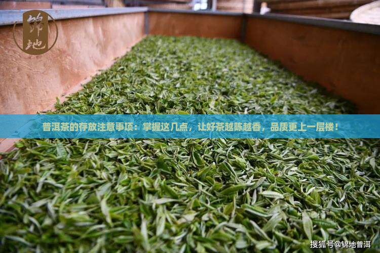 普洱茶的存放注意事项
