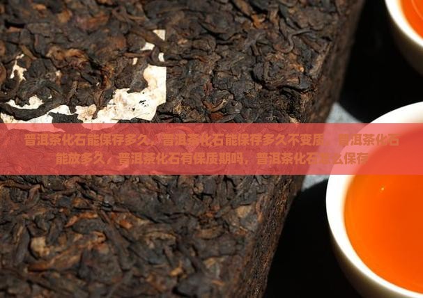 普洱茶化石能保存多久