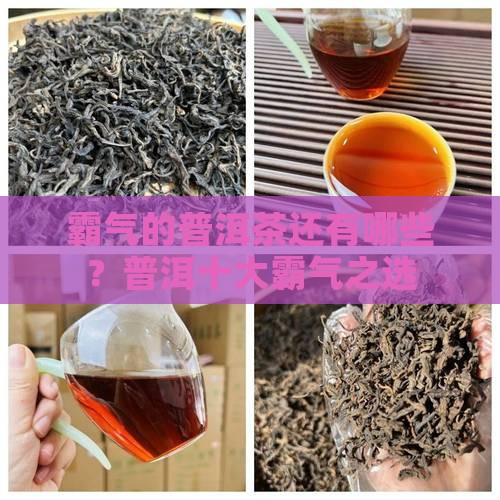霸气的普洱茶还有哪些