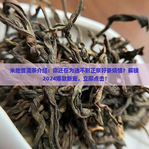 米地普洱茶品牌介绍