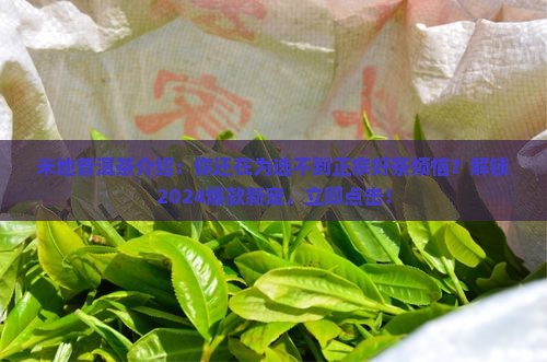 米地普洱茶品牌介绍