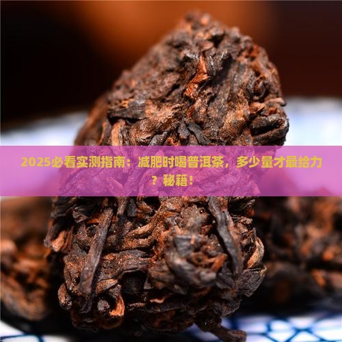 减肥喝多少喝普洱茶好一点