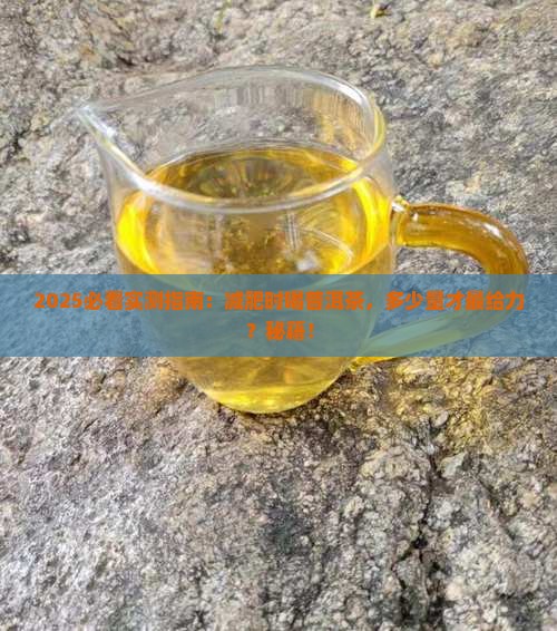 减肥喝多少喝普洱茶好一点