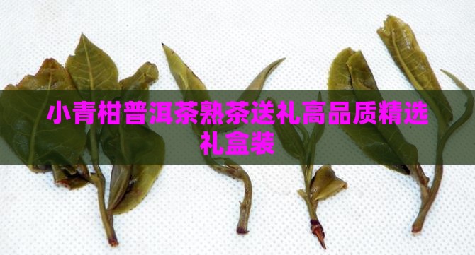 小青柑普洱茶熟茶送礼