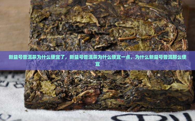 新益号普洱茶为什么便宜